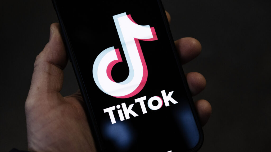 US And EU Ban TikTok From Staff Mobile Devices