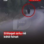 PodujevSot lajm copy