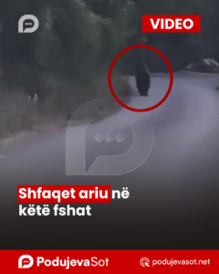 PodujevSot lajm copy