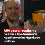 PodujevSot lajm copy