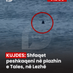 PodujevSot lajm copy