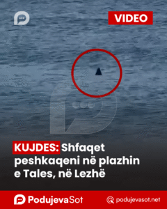 PodujevSot lajm copy