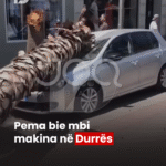 PodujevSot lajm copy