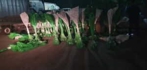 drunj-dekorative