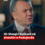 shqaq