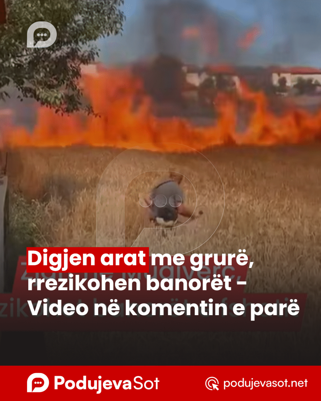 PodujevSot lajm copy