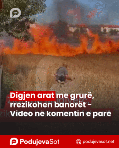 PodujevSot lajm copy
