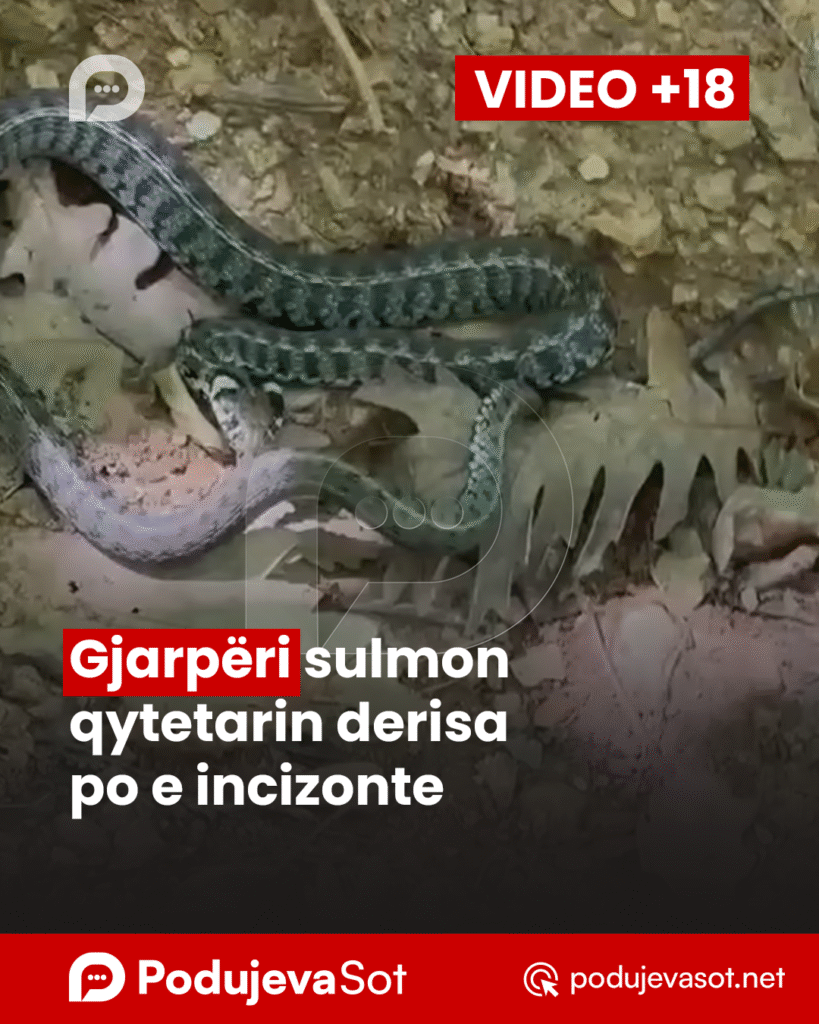 PodujevSot lajm copy