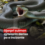PodujevSot lajm copy