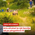 Podujeva Sot Telefon
