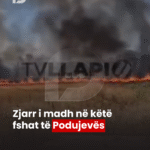 lajmi