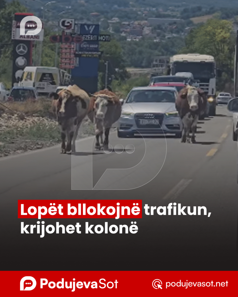 lajmi