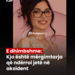 lajmi