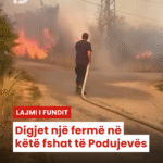 Copy of Copy of Podujeva Sot Telefon