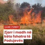 Copy of Copy of Podujeva Sot Telefon