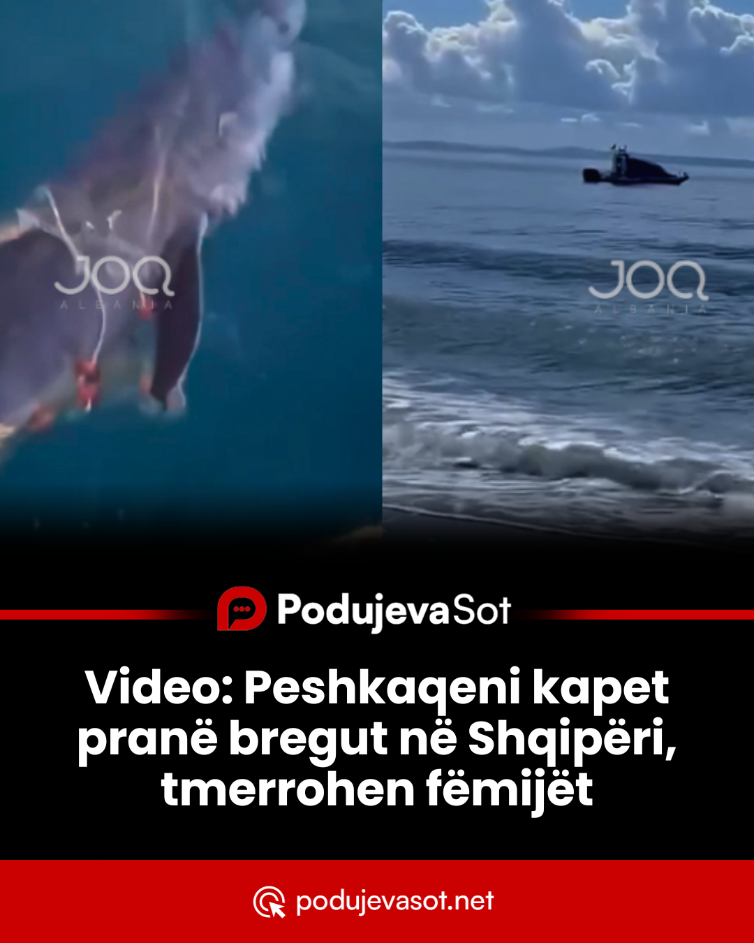 PD_Canva (13)