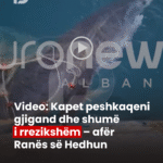 PD_Postim