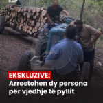 PD_Postim