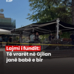PD_Postim