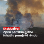 PD_Postim