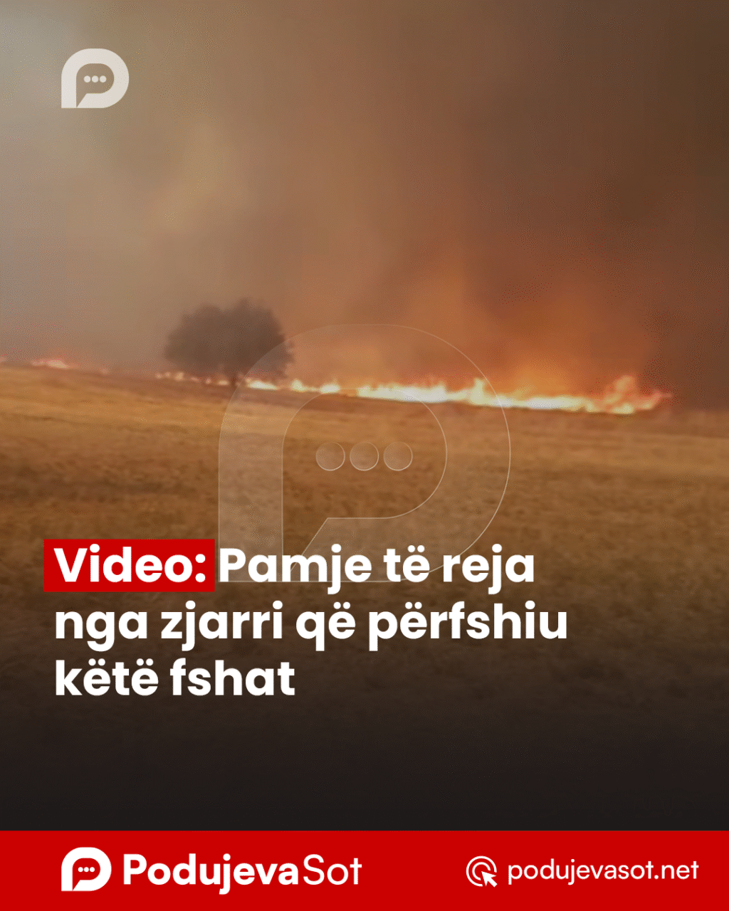 PD_Postim