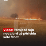 PD_Postim