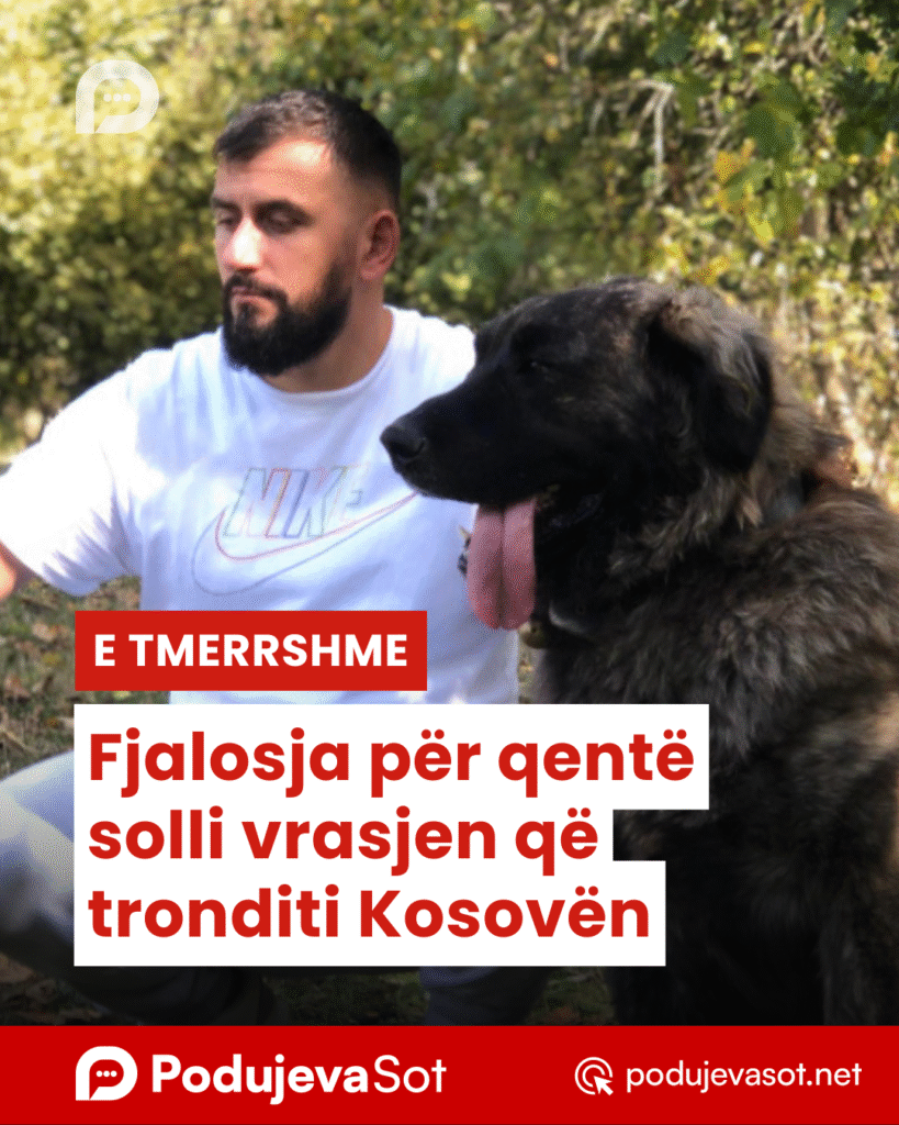 Pd post Canva