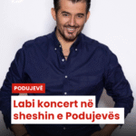 Pd post Canva