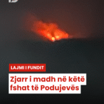 Pd post Canva