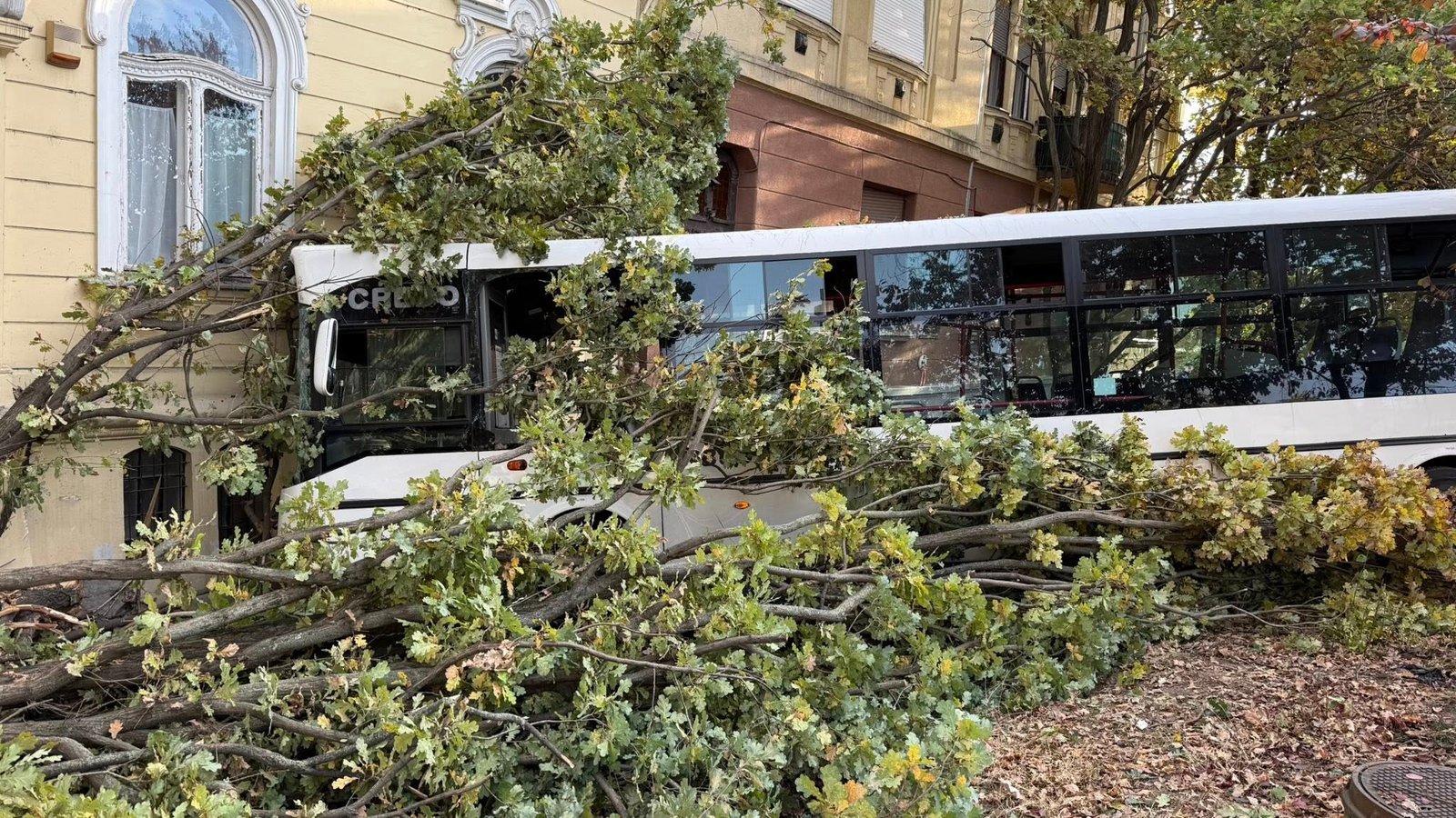 569396144_1245862677349092_8955076011819927344_n