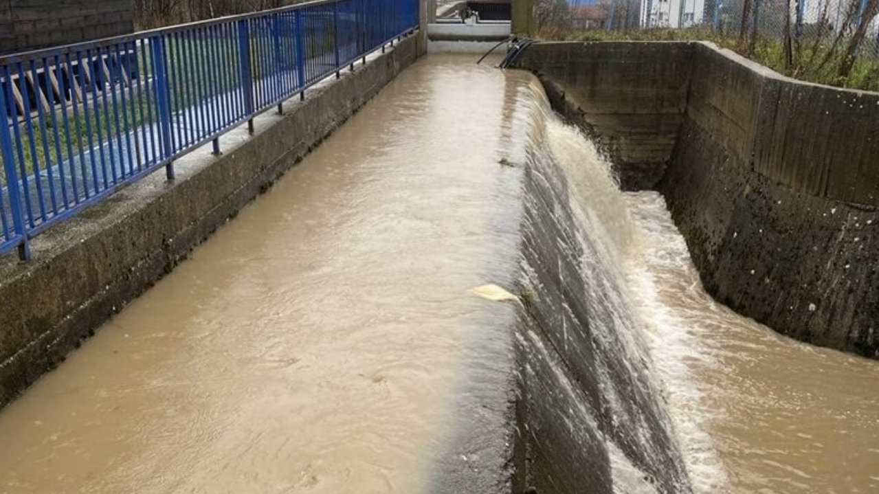 Screenshot 2025-10-25 141945